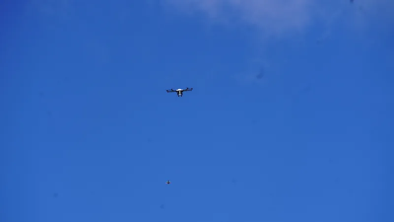 A drone hunter (at top) moves in on its prey, below.