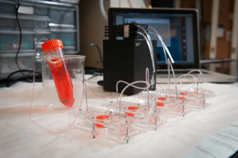 Four Organ-on-a-Chip slides are lined up with tubes inserted into the slides coming from a large test tube with a red liquid in it, that is propped up inside a beaker. Other instruments and a laptop computer are seen in the background.