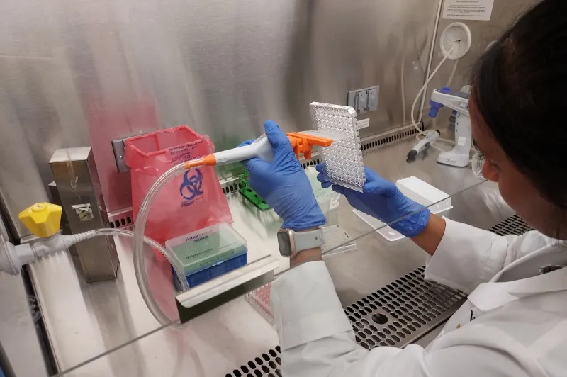 A researcher is injecting samples into a receptacle with multiple rows and columns. She is seated at a stainless steel lab station with different instruments, equipment, and a biohazard disposal bag.