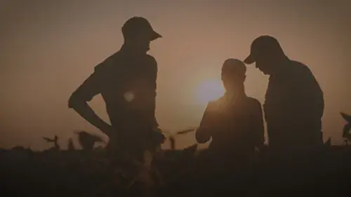 Three farmers at sunrise