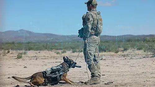 Detecting DHS Human and K9 Agent