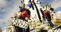 Border Patrol agents finding illegal drugs on a ship