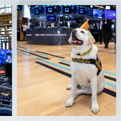 Captain Canine, Mojo, Celebrating Know2Protect's Anniversary