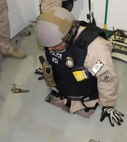 HSI Agent