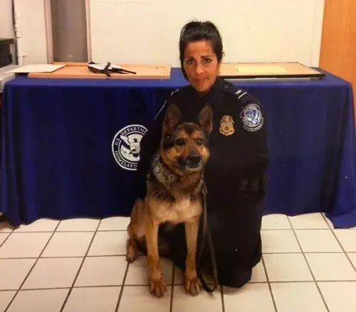 K9 Supi and Partner 