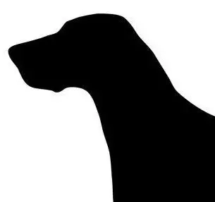 Black and white graphic of a dog